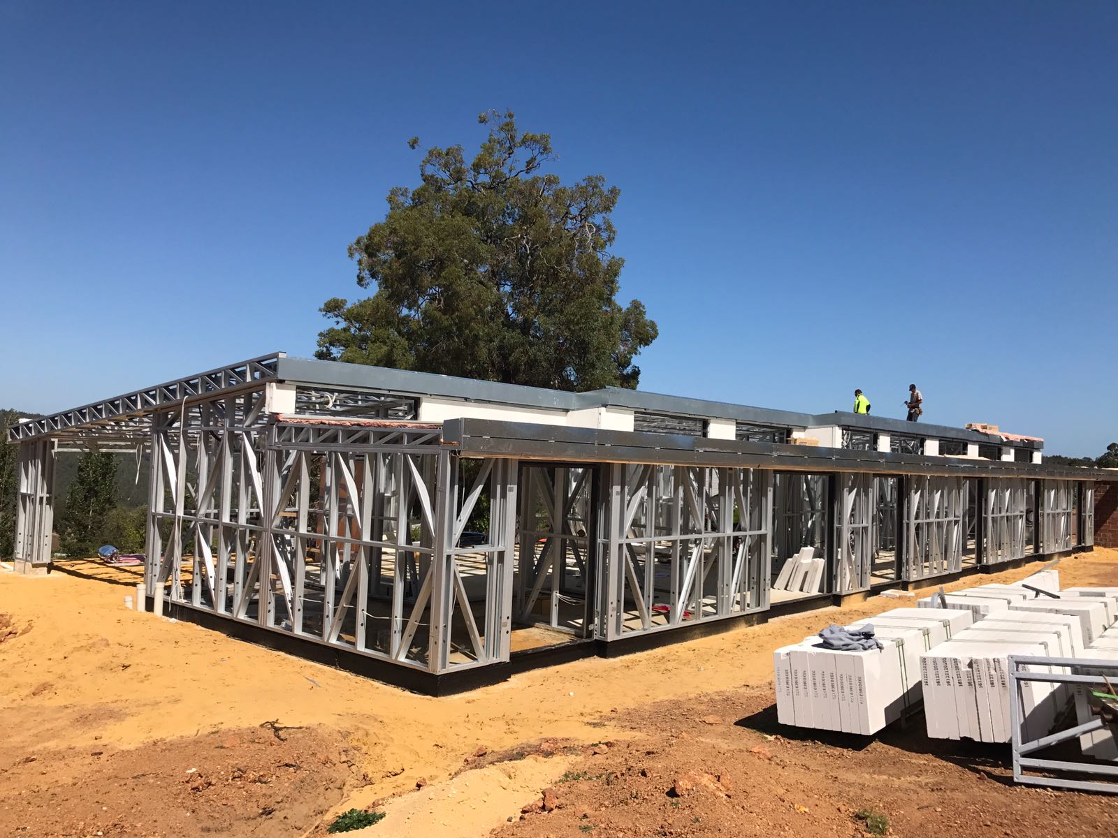 Photo 16-3-17, 2 21 53 pm (1)